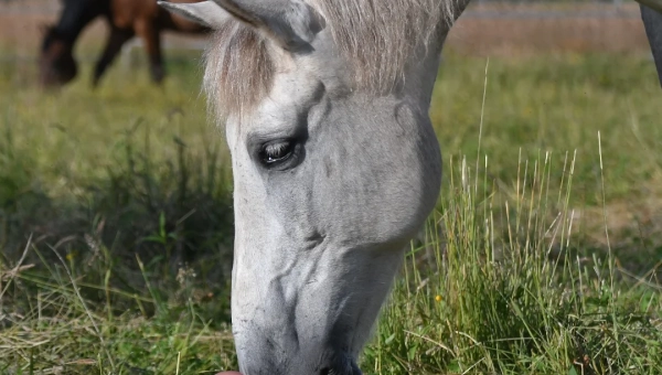 &quot;Wenn Fühlen gefährlich wird“
