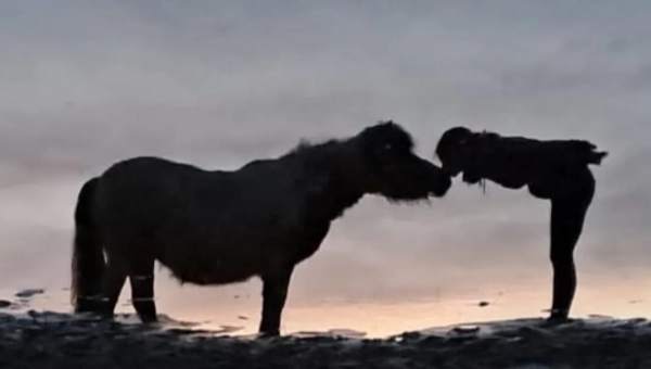 Empathie. Ein wichtiges Thema für Therapeut:innen