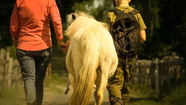 Der Rucksack als Sinnbild