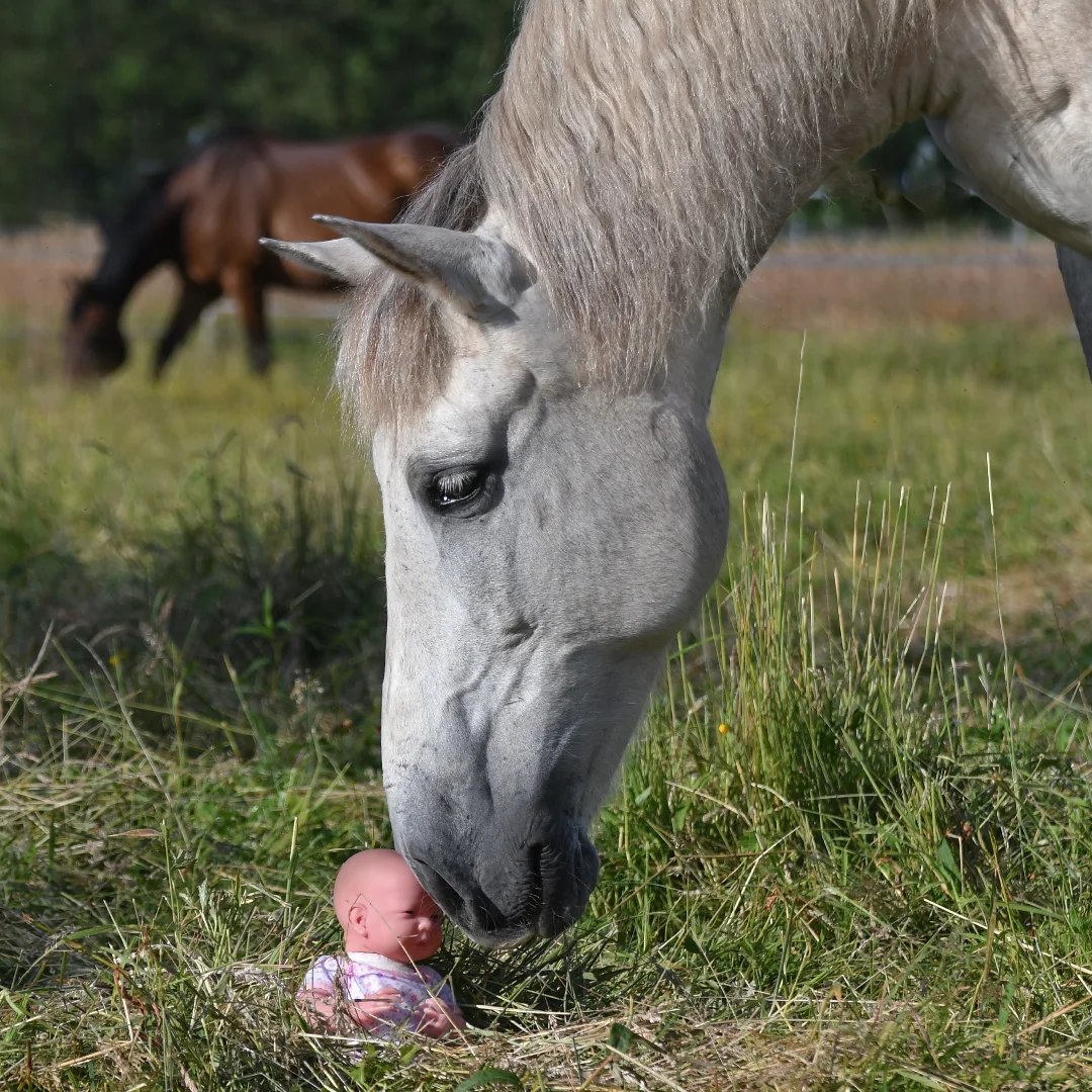 &quot;Wenn Fühlen gefährlich wird“