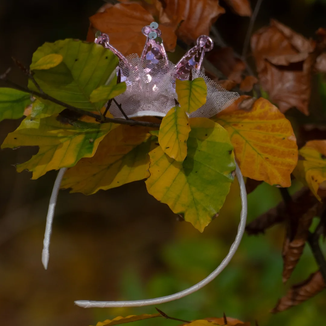 Wann und wo habe ich eigentlich meine Krone verloren?