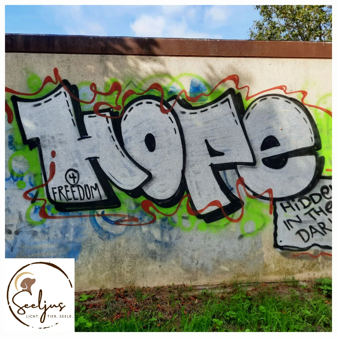 Wer oder was ist eigentlich dieses fiese &quot;Schicksal&quot;