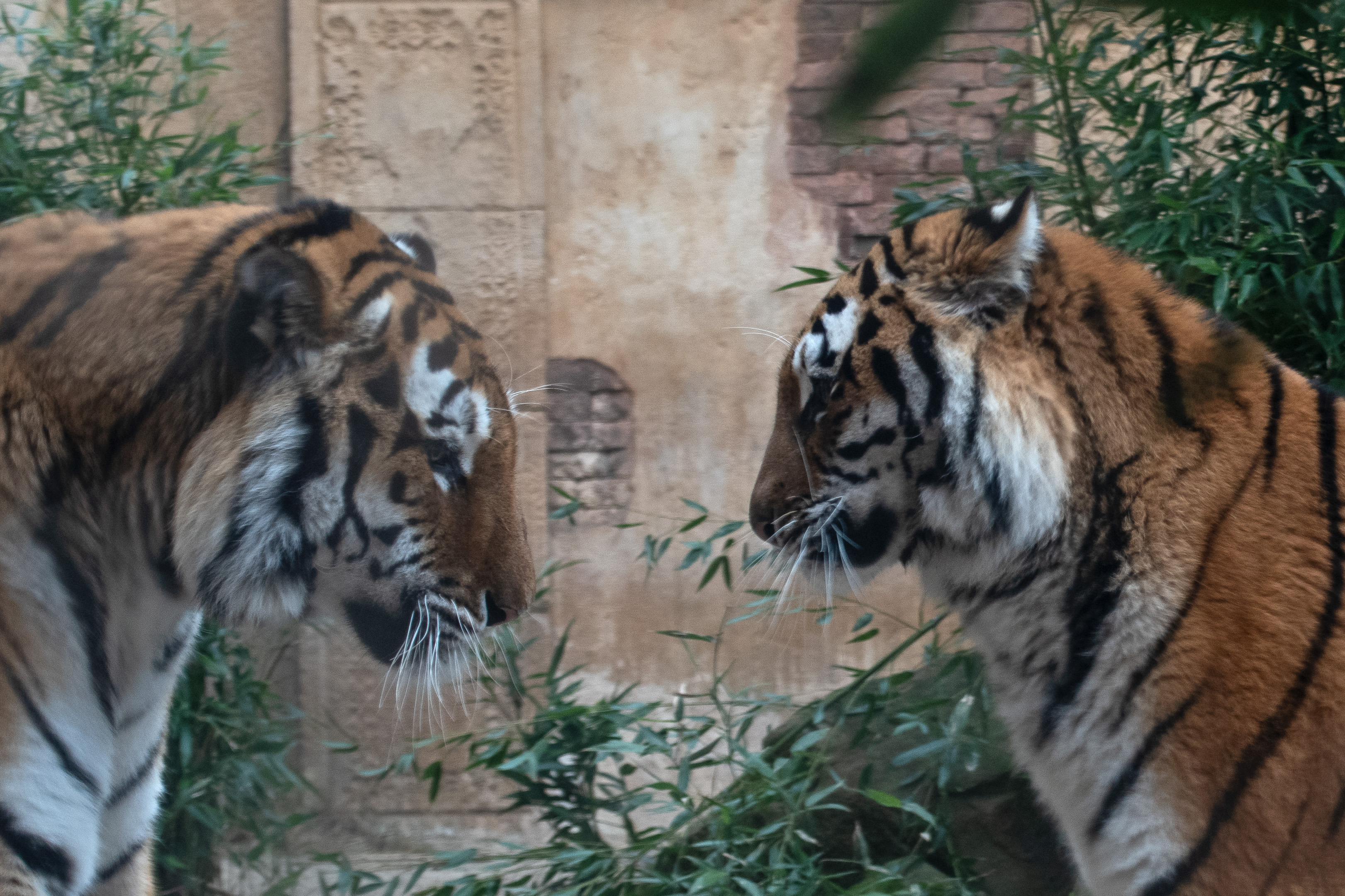 Konflikte entstehen nicht aus Bosheit