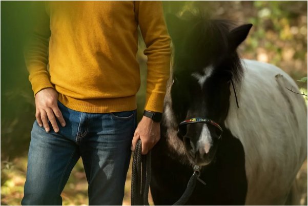 Es gibt Menschen, die scheinbar nicht fühlen können oder ihre Gefühle nur schwer wahrnehmen, ausdrücken oder überhaupt empfinden.